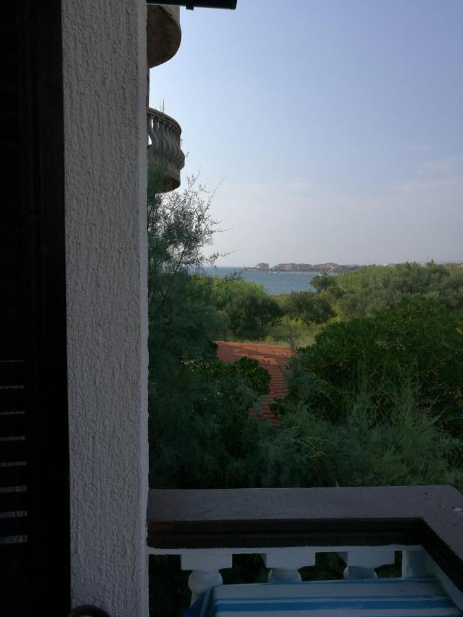 Apartments Mint Povljana - 50M From Sandy Beach Buitenkant foto